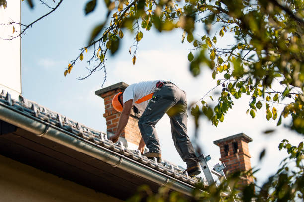 Best Commercial Roofing Services  in Trail Creek, IN